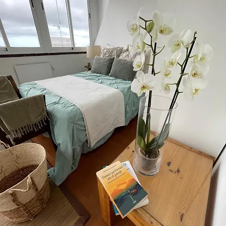 Lägenhet Precioso Piso De 3 Habitaciones, Ciudad Patrimonio *